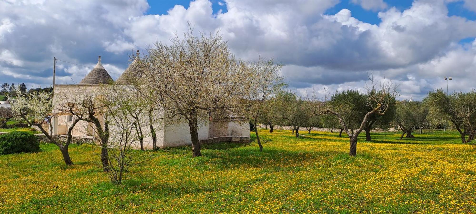 Trulli Carlo Anna Villa Locorotondo Exterior photo